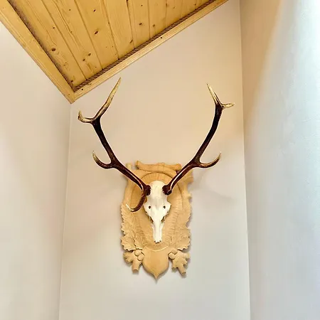 Sami Swoi Apartmán *