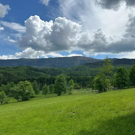 Apartmán Sami Swoi Zawoja