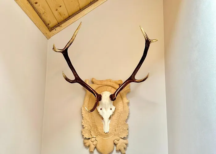 Sami Swoi דירה *